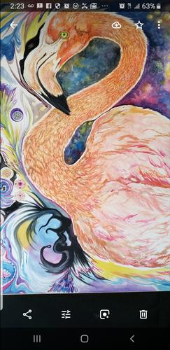 Flamingo